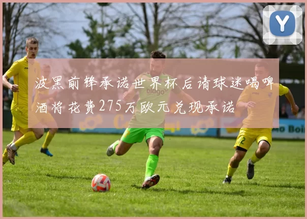 波黑前锋承诺世界杯后请球迷喝啤酒将花费275万欧元兑现承诺