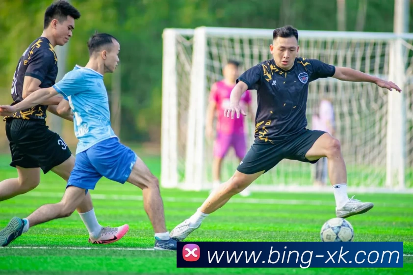 多媒体互动体验